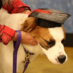 photograph by PeterW